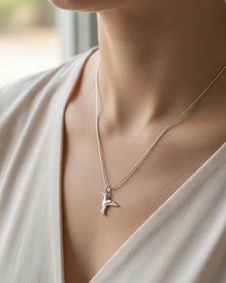 Colar Colibri